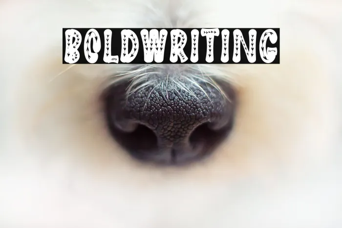 Bold Writing Example 2