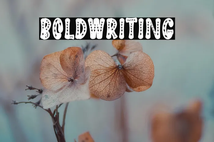 Bold Writing Example 3