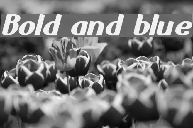 Bold and blue Font examples