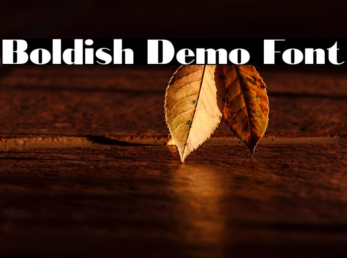 Bold-ish Demo Font Example 1