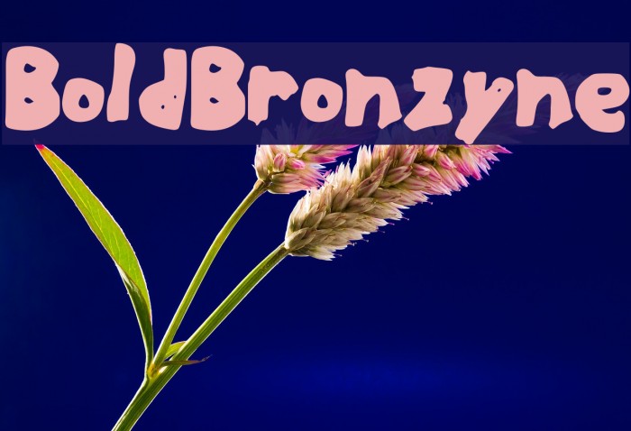 BoldBronzyne Font examples