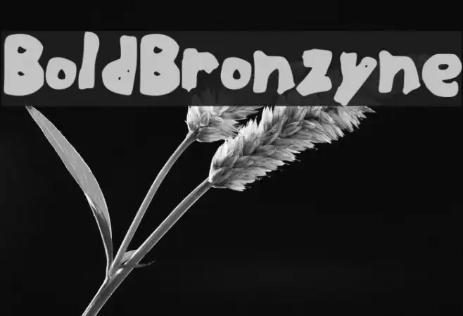 BoldBronzyne Example 1