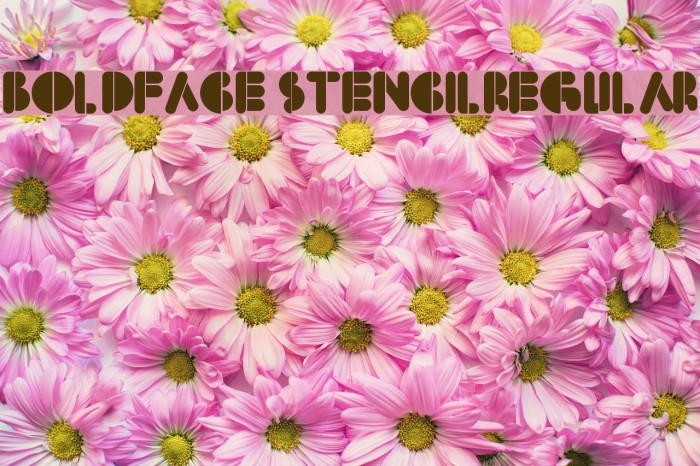 BoldFace StencilRegular Font examples
