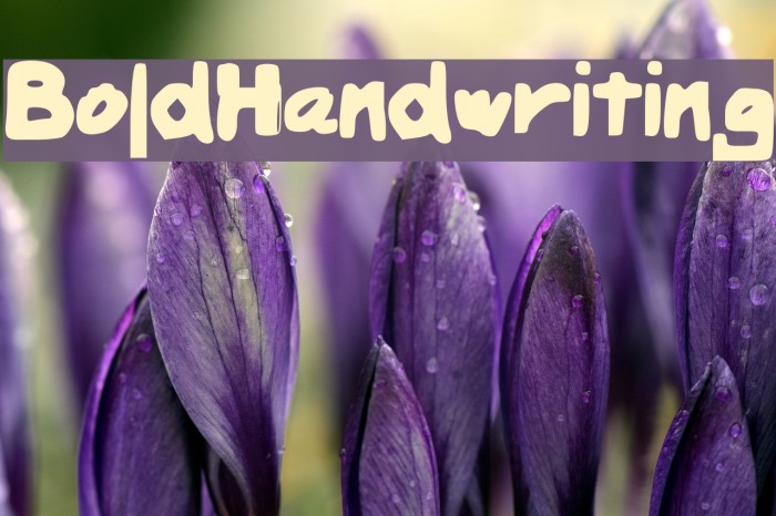 BoldHandwriting Font examples