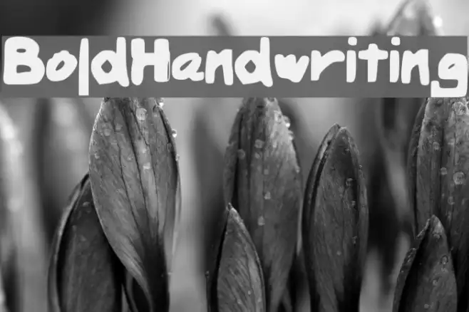 BoldHandwriting Example 2