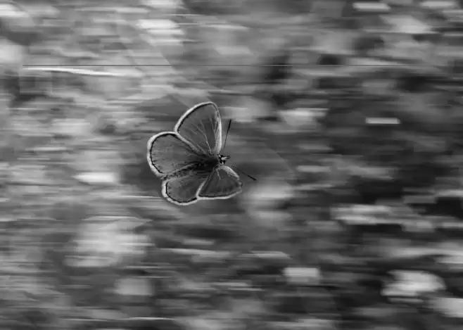 BoldOblique Font examples