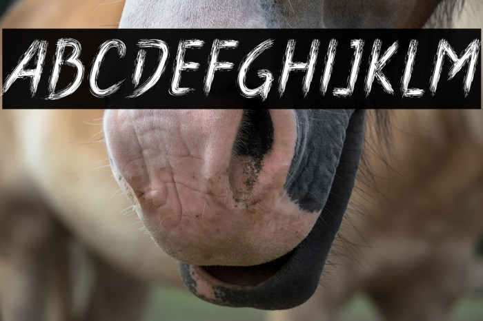 Boldace Brush Example 2