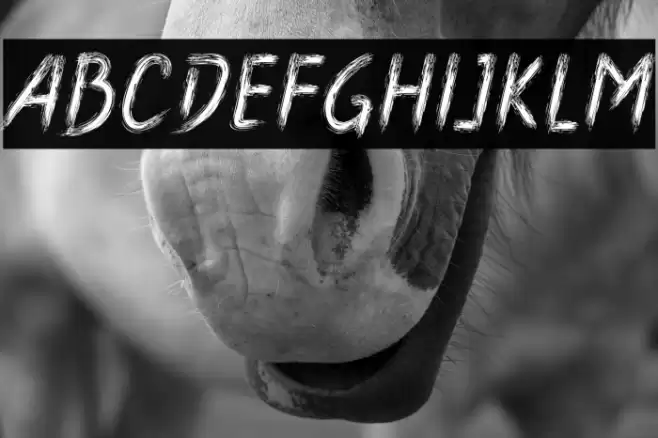 Boldace Brush Caratteri examples