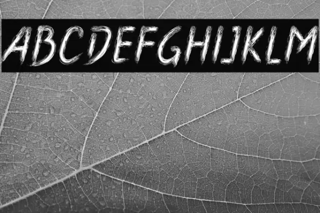 Boldace Brush Caratteri examples