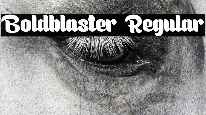 Boldblaster Regular Example 1