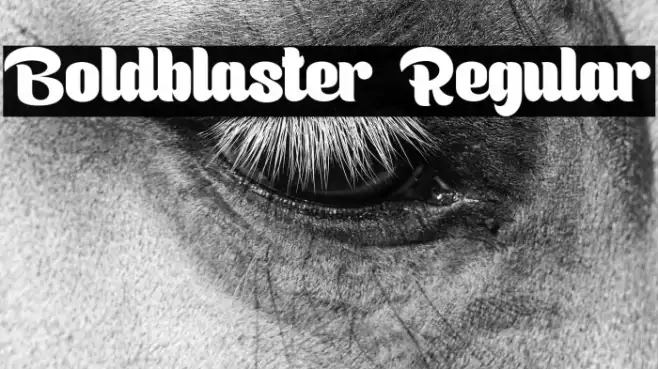 Boldblaster Regular Example 1