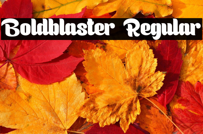 Boldblaster Regular Example 2