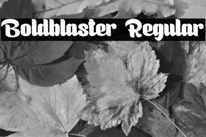 Boldblaster Regular Example 2