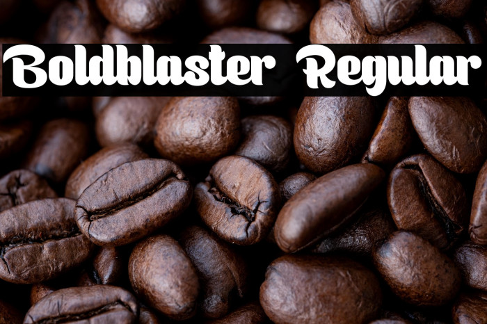 Boldblaster Regular Example 3