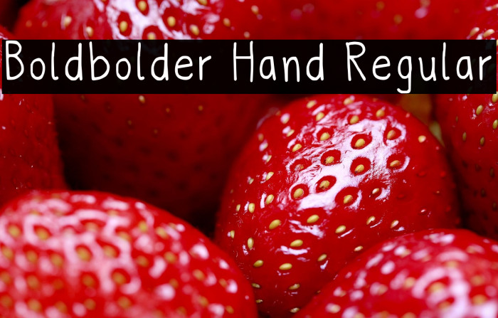 Boldbolder Hand Regular Example 2