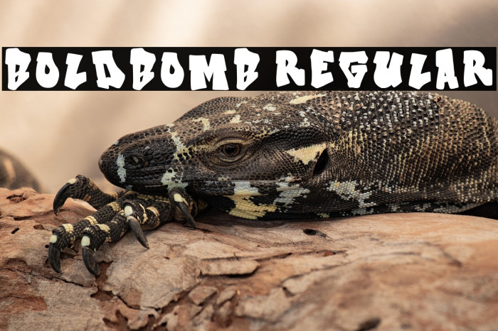 Boldbomb Regular Example 3