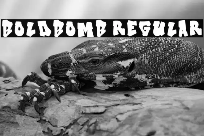 Boldbomb Regular 字体 examples