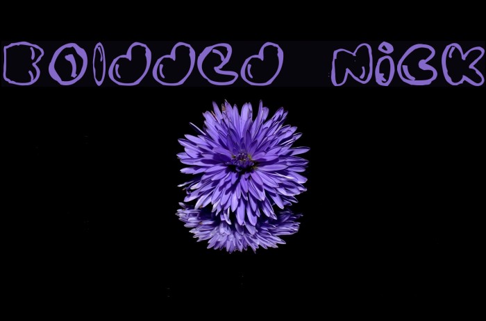 Boldded Nick Font examples