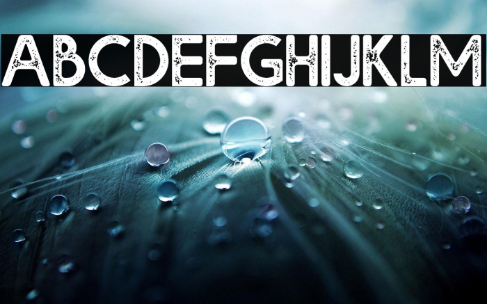 Bolde Rough Example 3