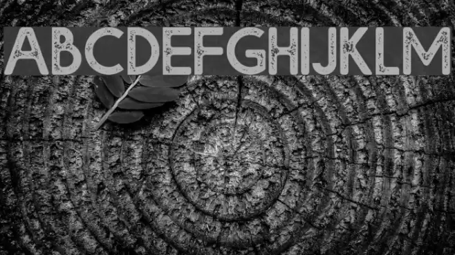 Bolde Rough Font examples