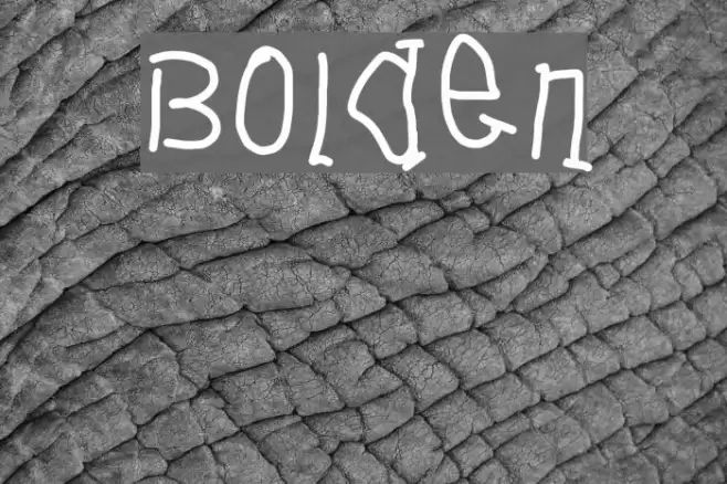 Bolden Font examples