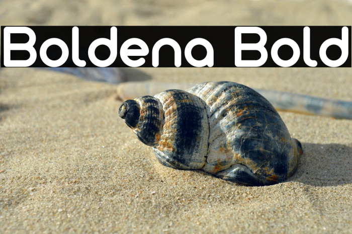 Boldena Bold Example 2