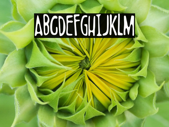 Boldenstein THIN Example 1