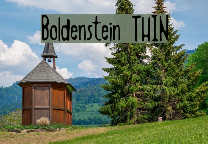 Boldenstein THIN Example 1