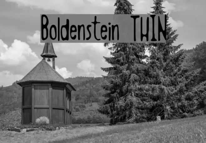 Boldenstein THIN Font examples
