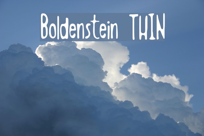 Boldenstein THIN Example 3