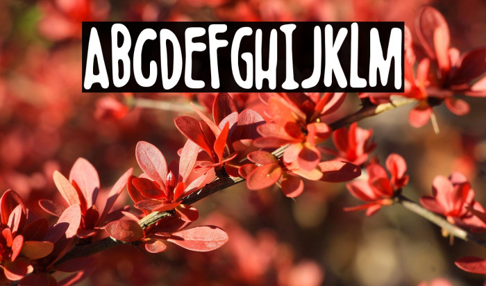 Boldenstein Example 1