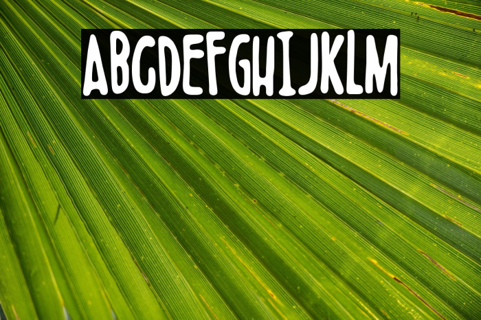 Boldenstein Example 3