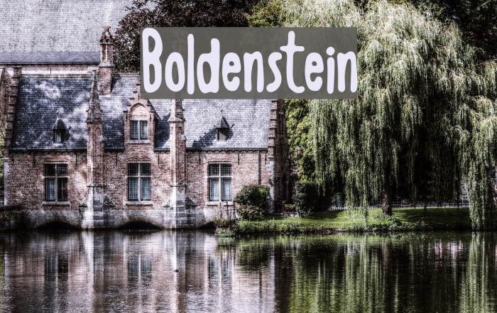 Boldenstein Fuentes examples