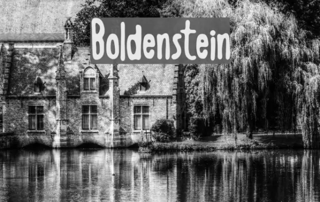 Boldenstein Fuentes examples