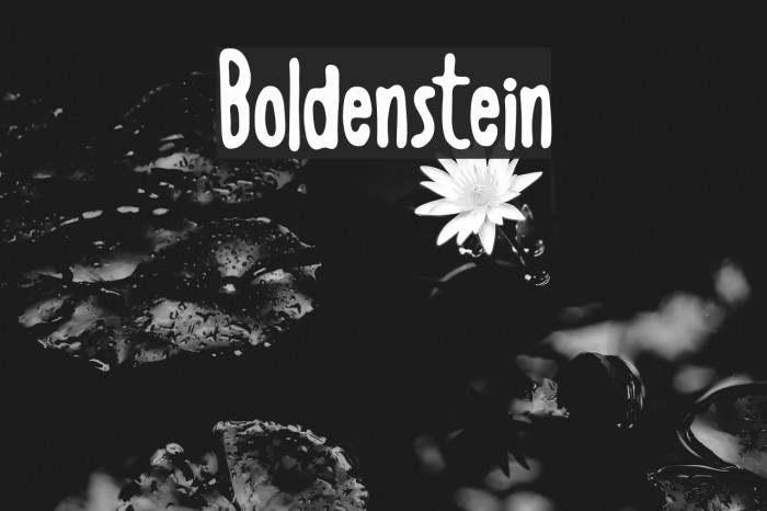 Boldenstein Fuentes examples