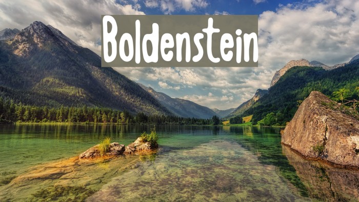 Boldenstein Fuentes examples