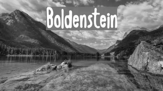 Boldenstein Fuentes examples