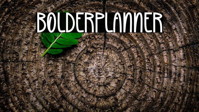 Bolder Planner Example 1