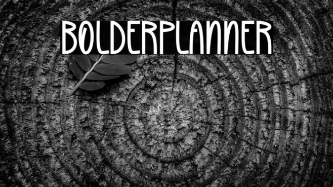 Bolder Planner Example 1