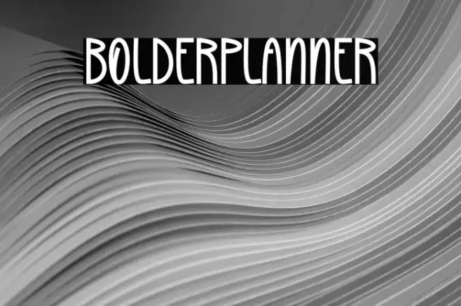 Bolder Planner Example 2