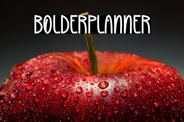 Bolder Planner Example 3