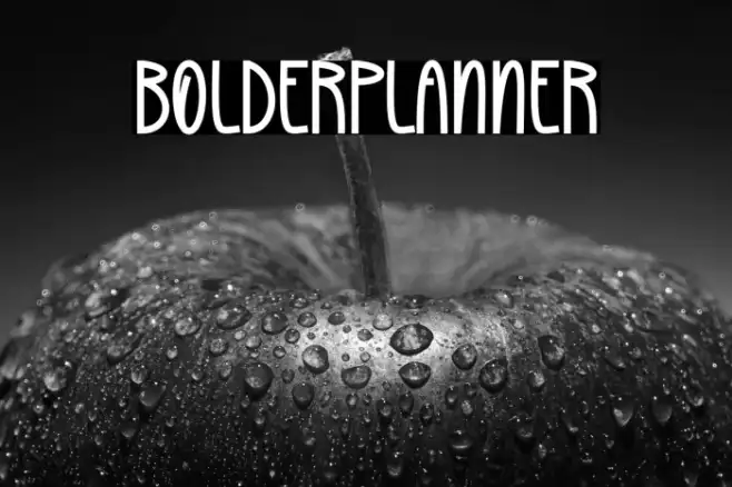 Bolder Planner Example 3