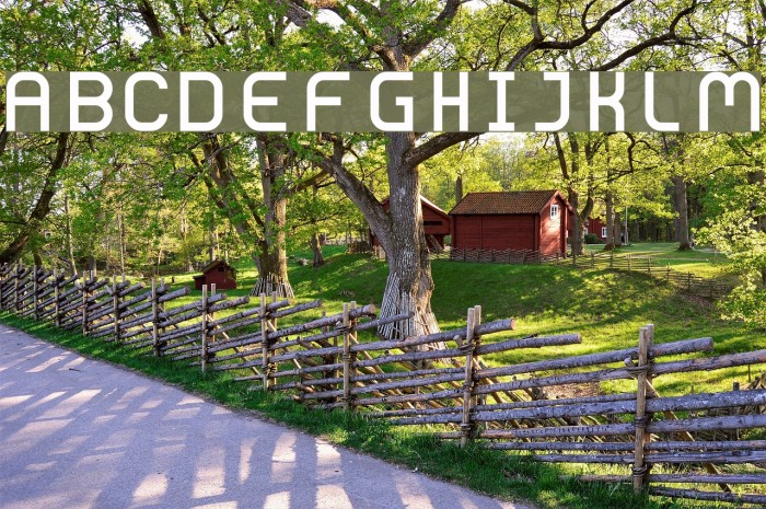 Bolderic Regular Font examples
