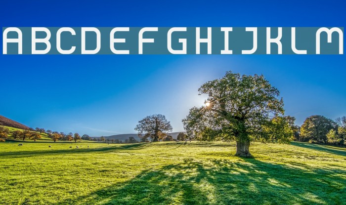 Bolderic Regular Font examples