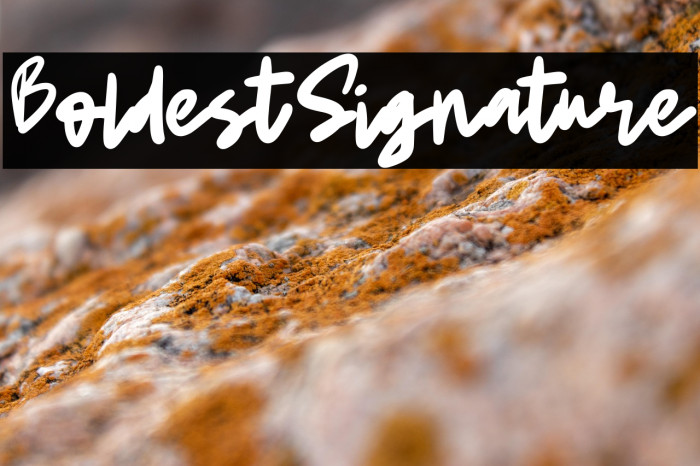 BoldestSignature Example 1