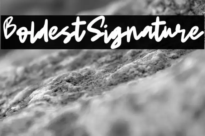 BoldestSignature Fonte examples