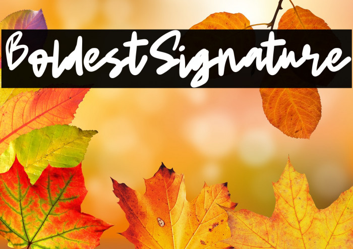 BoldestSignature Example 2