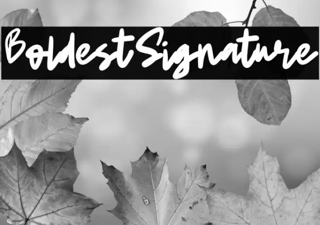 BoldestSignature Fonte examples