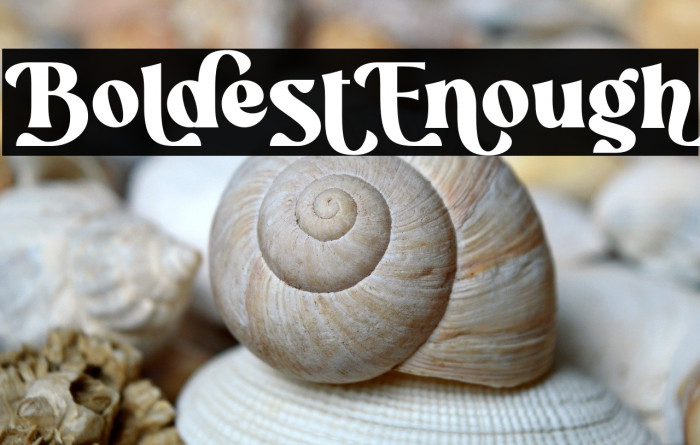 Boldest_Enough Example 1