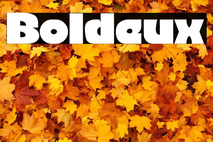 Boldeux Example 3